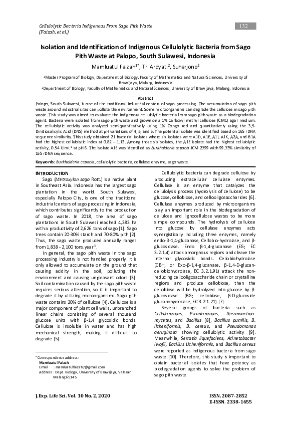 (PDF) Isolation and Identification of Indigenous Cellulolytic Bacteria ...