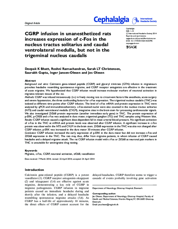 (PDF) CGRP infusion in unanesthetized rats increases expression of c ...