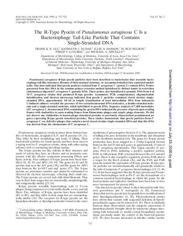 (PDF) The R-Type Pyocin of Pseudomonas aeruginosa C Is a Bacteriophage ...