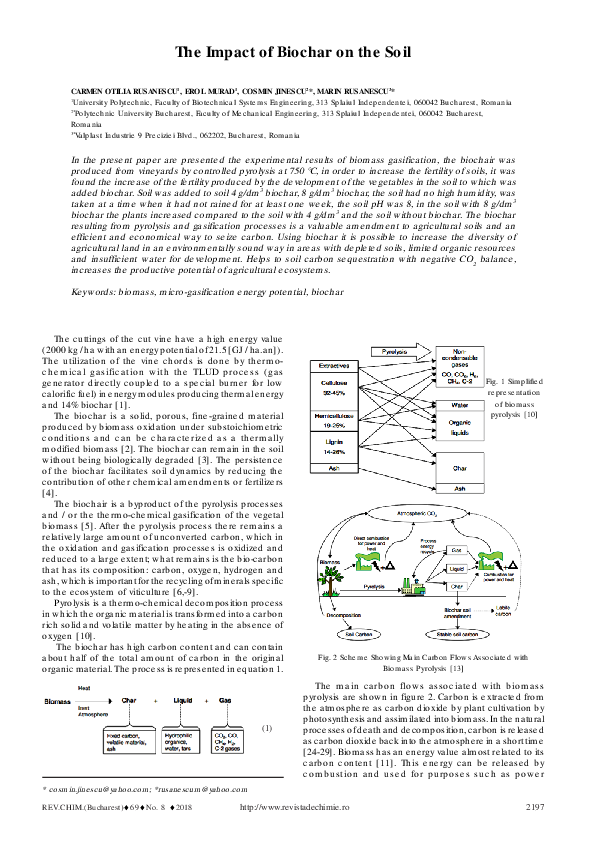 (PDF) The Impact of Biochar on the Soil