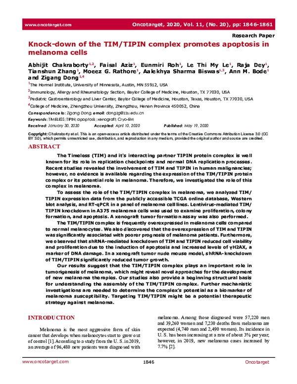 (PDF) Knock-down of the TIM/TIPIN complex promotes apoptosis in ...