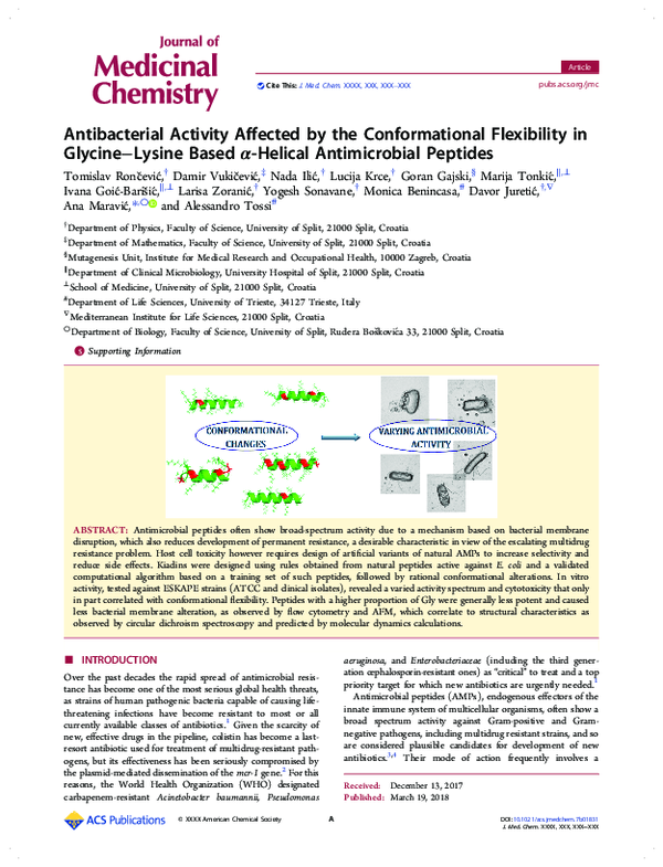 (PDF) Antibacterial activity affected by the conformational flexibility ...