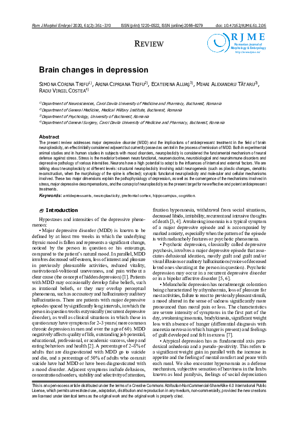(PDF) Brain changes in depression