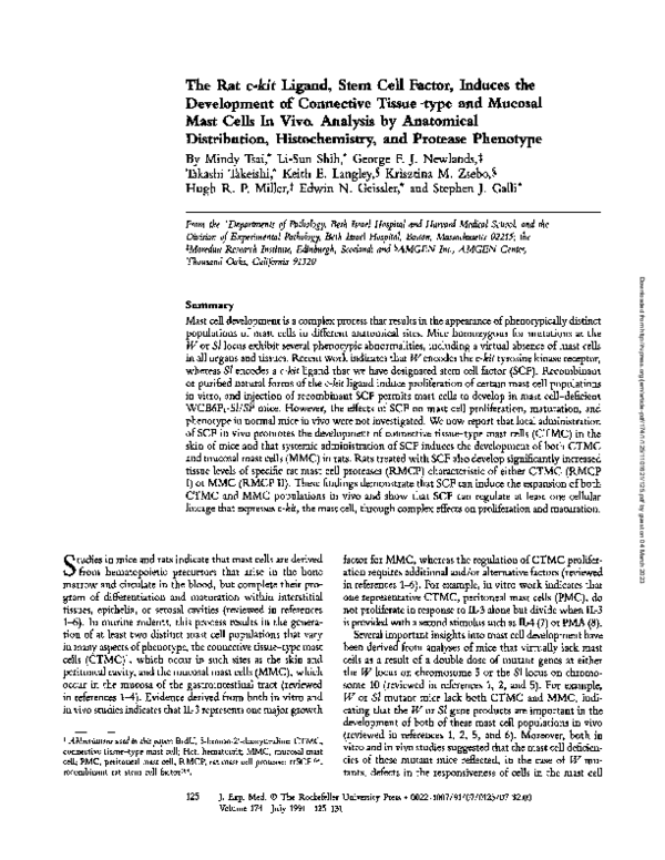 (PDF) The rat c-kit ligand, stem cell factor, induces the development ...