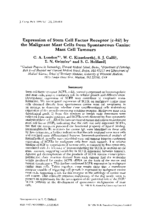 (PDF) Expression of stem cell factor receptor (c-kit) by the malignant ...