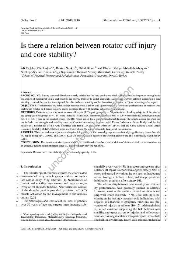 (PDF) Is there a relation between rotator cuff injury and core stability?