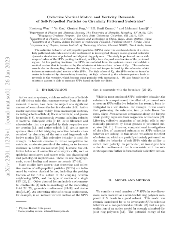 (PDF) Collective vortical motion and vorticity reversals of self ...