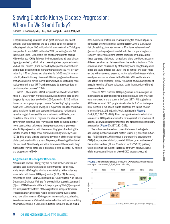(PDF) Slowing Diabetic Kidney Disease Progression: Where Do We Stand Today?