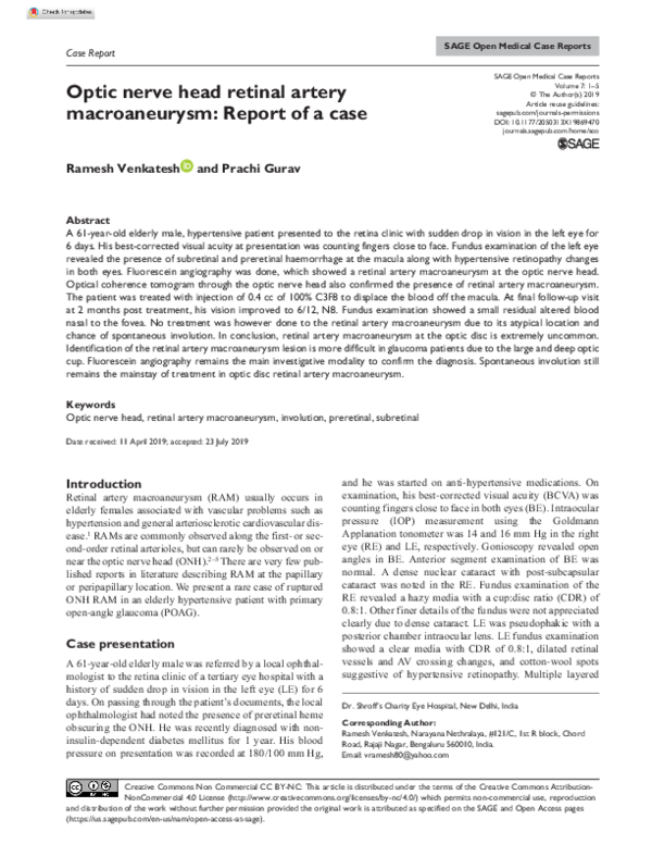 (PDF) Optic nerve head retinal artery macroaneurysm: Report of a case