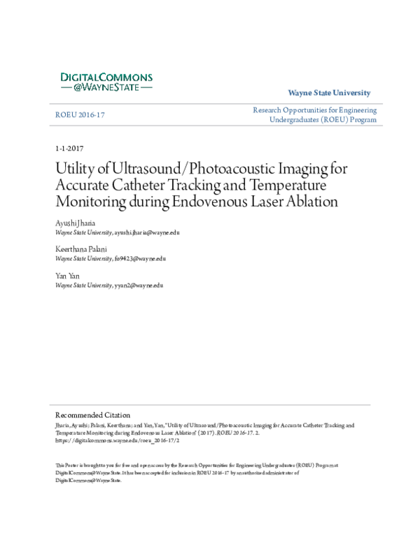 (PDF) Utility of Ultrasound/Photoacoustic Imaging for Accurate Catheter