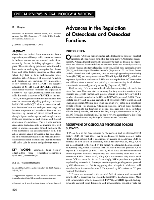 (PDF) Advances in the Regulation of Osteoclasts and Osteoclast Functions