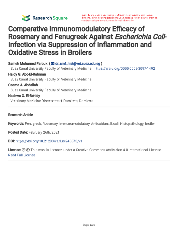(PDF) Comparative Immunomodulatory Efficacy of Rosemary and Fenugreek ...
