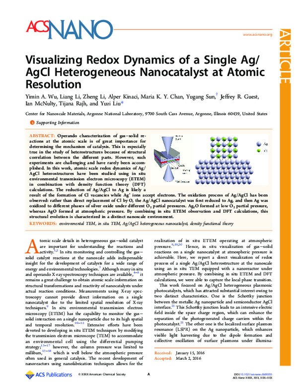 Visualizing Redox Dynamics of a Single Ag/AgCl Heterogeneous ...