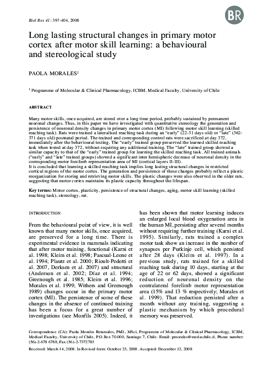 (PDF) Long lasting structural changes in primary motor cortex after ...