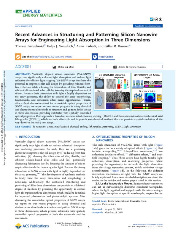 (PDF) Recent Advances in Structuring and Patterning Silicon Nanowire ...