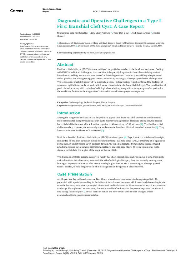 (PDF) Diagnostic and Operative Challenges in a Type I First Branchial ...