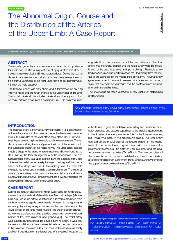 (PDF) The Abnormal Origin, Course and the Distribution of the Arteries ...