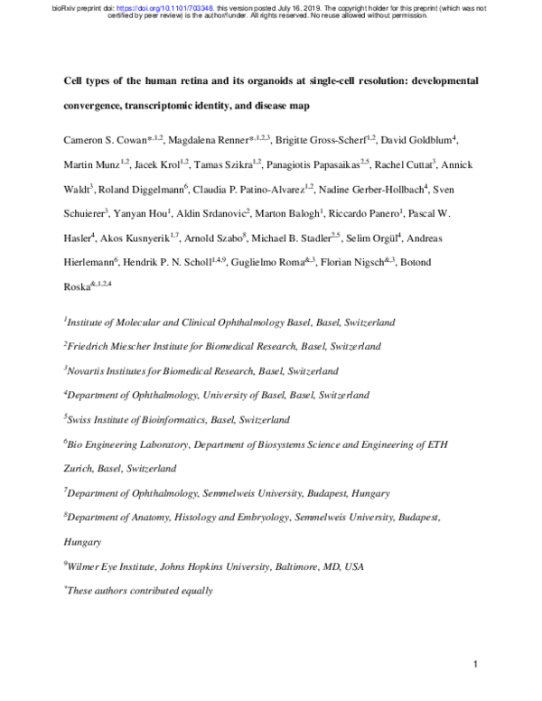 (PDF) Cell types of the human retina and its organoids at single-cell ...