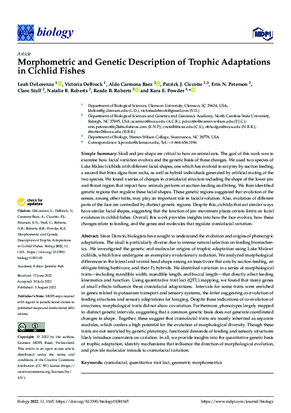 (PDF) Morphometric and Genetic Description of Trophic Adaptations in ...