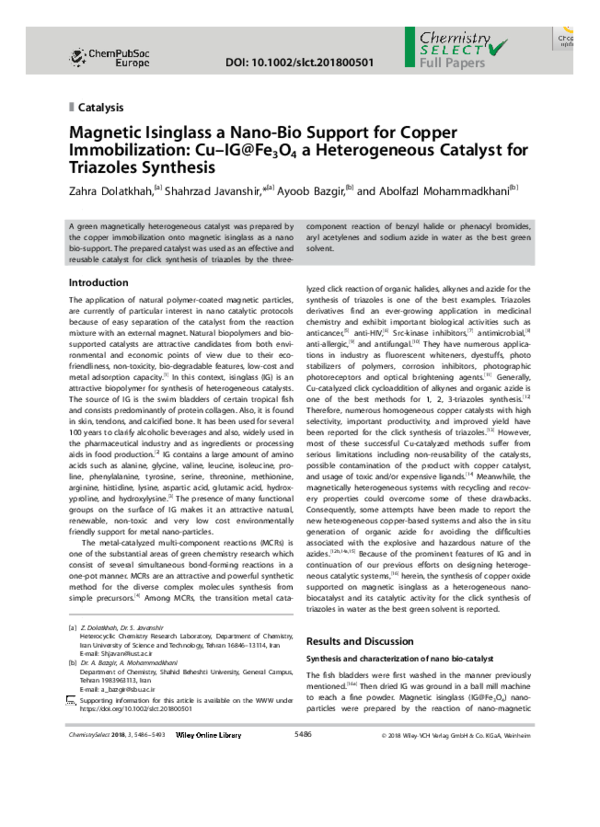 (PDF) Magnetic Isinglass a Nano‐Bio Support for Copper Immobilization ...