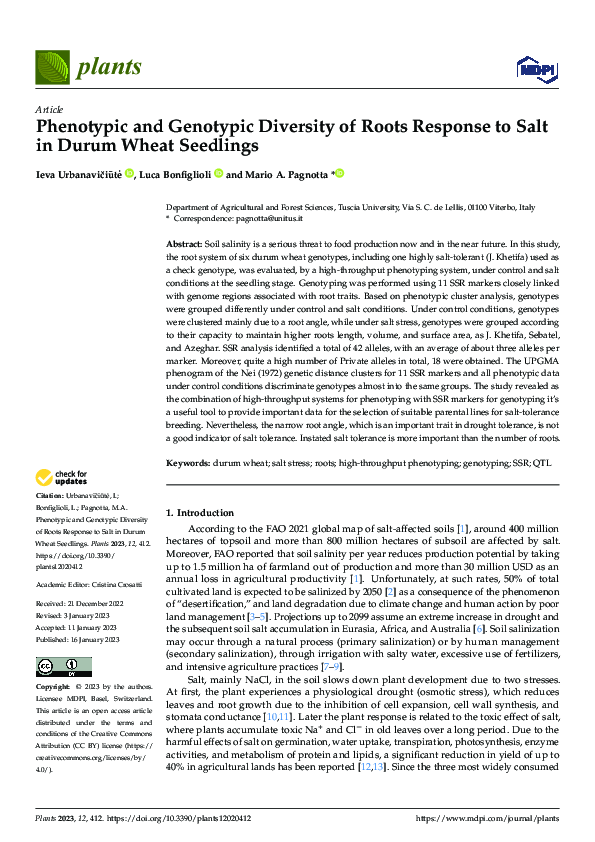 (PDF) Phenotypic and Genotypic Diversity of Roots Response to Salt in ...