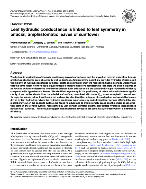 (PDF) Leaf hydraulic conductance is linked to leaf symmetry in bifacial ...
