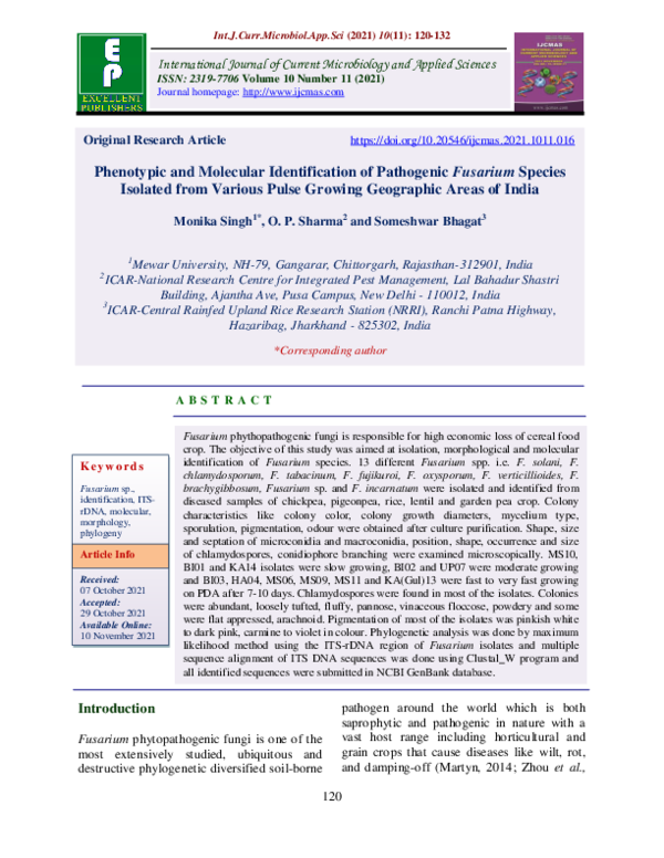 (PDF) Phenotypic and Molecular Identification of Pathogenic Fusarium ...