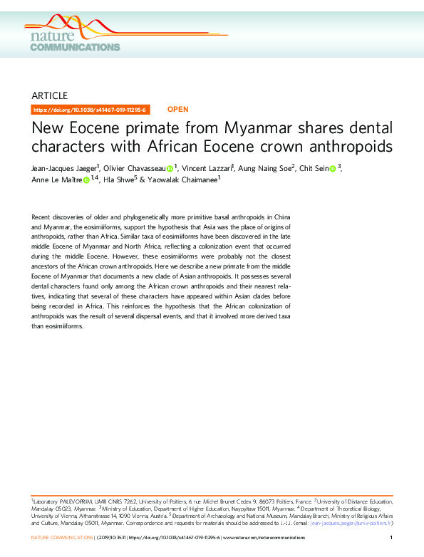 (PDF) New Eocene primate from Myanmar shares dental characters with ...