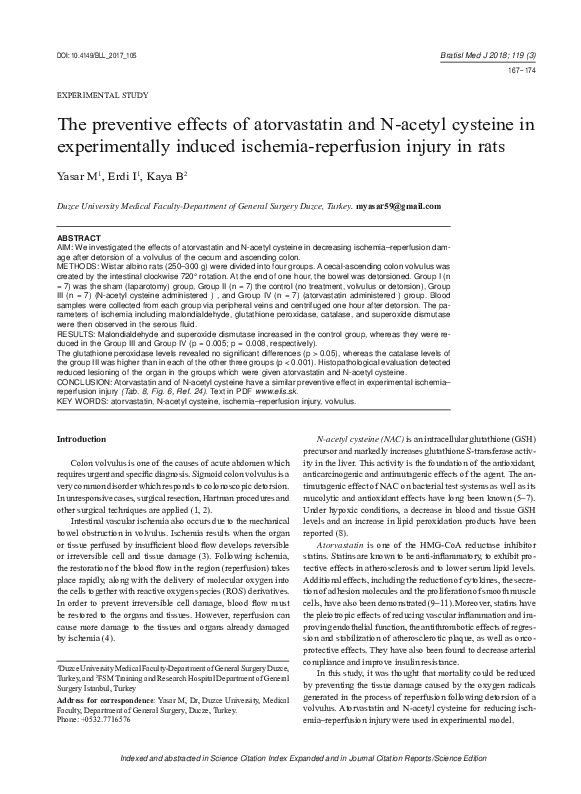 (PDF) The preventive effects of atorvastatin and N-acetyl cysteine in ...