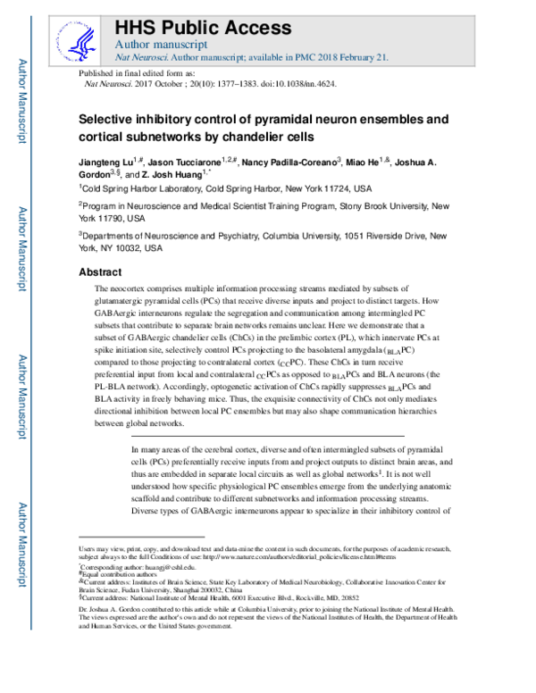 (PDF) Selective inhibitory control of pyramidal neuron ensembles and ...