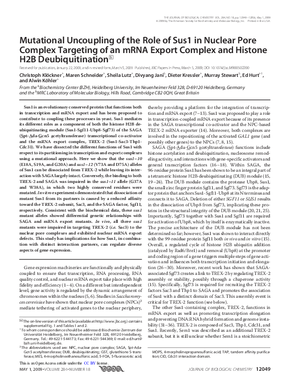 (PDF) Mutational Uncoupling of the Role of Sus1 in Nuclear Pore Complex ...