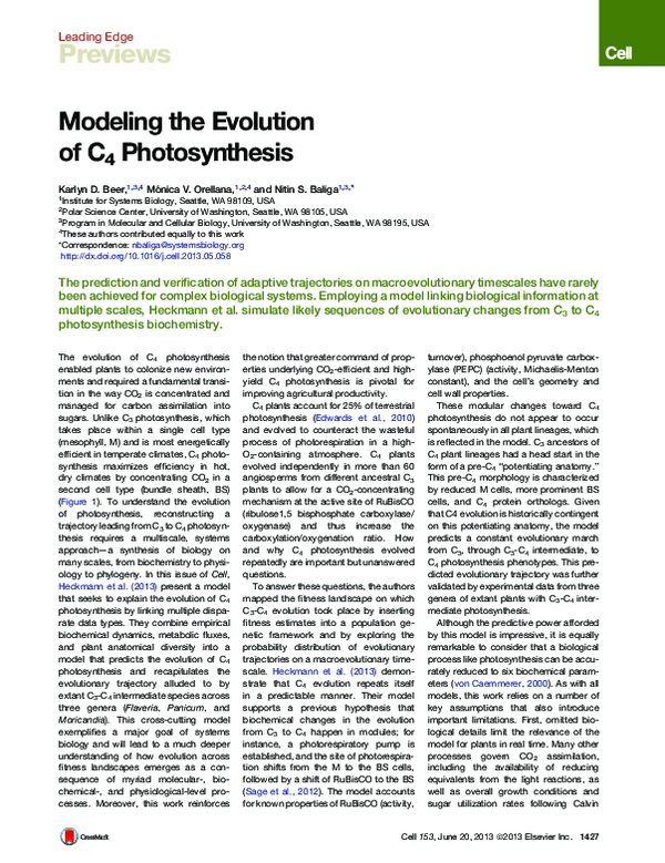 (PDF) Modeling the Evolution of C4 Photosynthesis