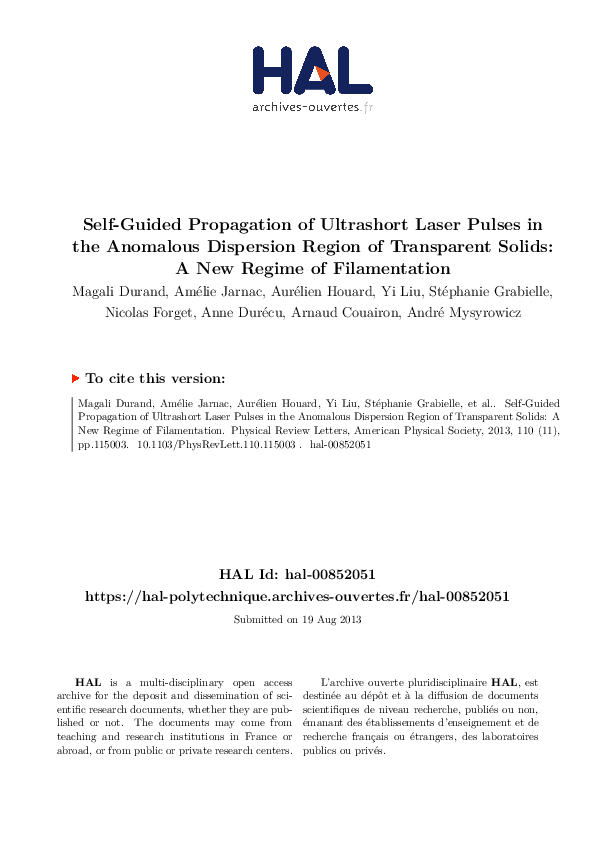 (PDF) Self-Guided Propagation of Ultrashort Laser Pulses in the ...
