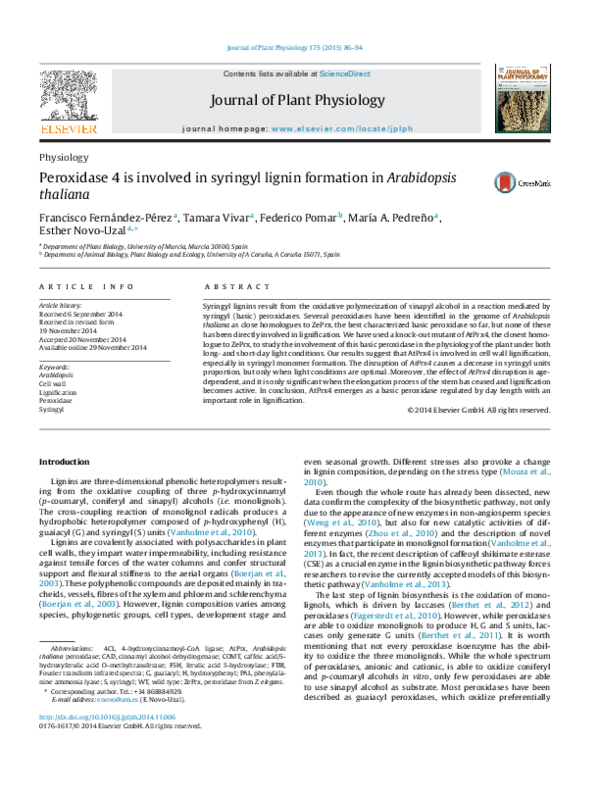 (PDF) Peroxidase 4 is involved in syringyl lignin formation in ...