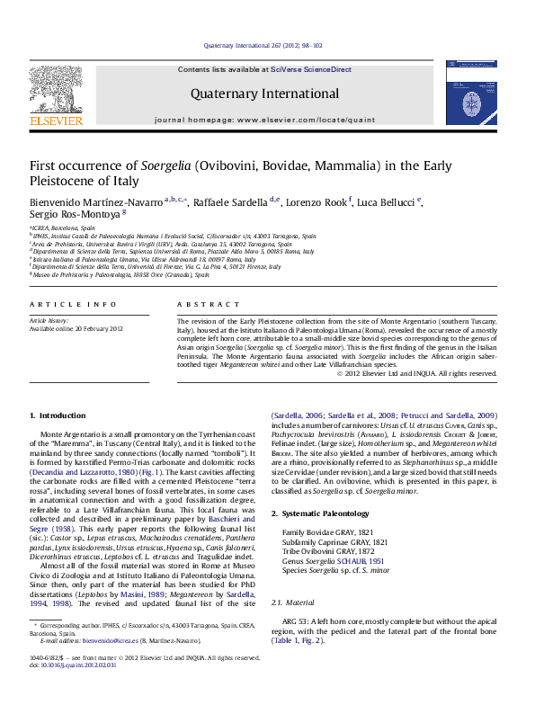 (PDF) First occurrence of Soergelia (Ovibovini, Bovidae, Mammalia) in ...