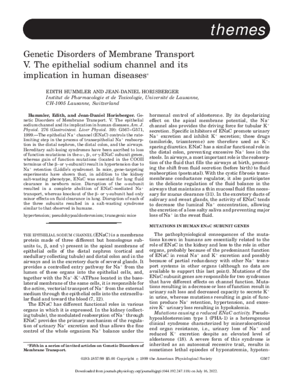 (PDF) V. The epithelial sodium channel and its implication in human ...