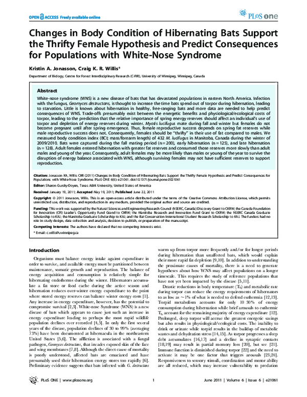 (PDF) Changes in Body Condition of Hibernating Bats Support the Thrifty ...