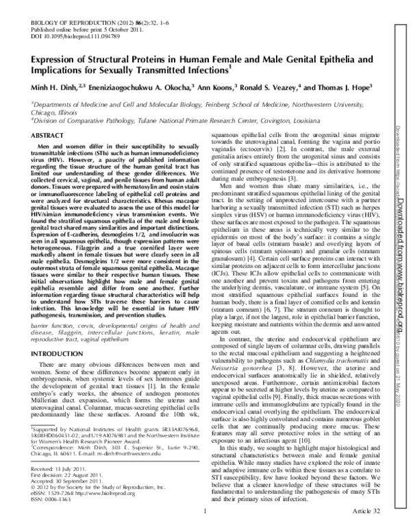 (PDF) Expression of Structural Proteins in Human Female and Male ...