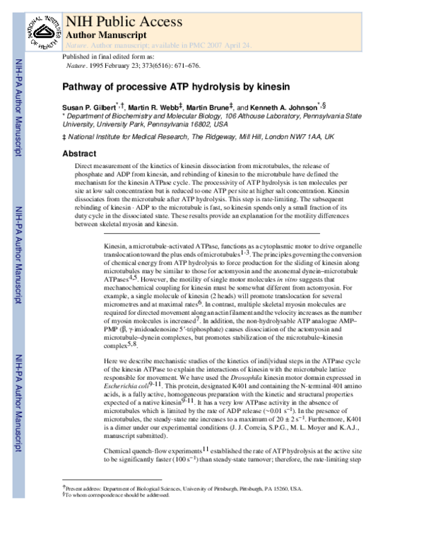 (PDF) Pathway of processive ATP hydrolysis by kinesin