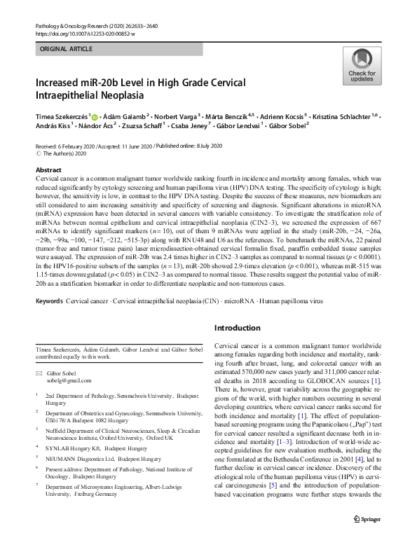 (PDF) Increased miR-20b Level in High Grade Cervical Intraepithelial ...