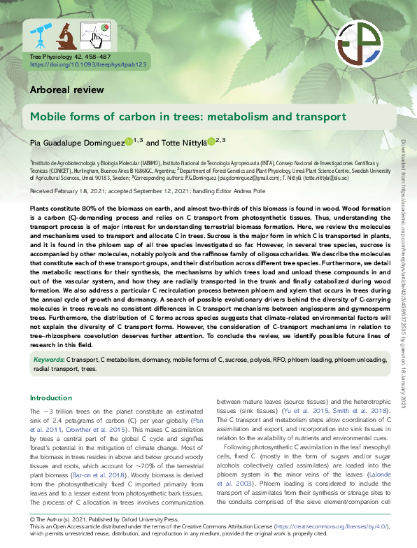(PDF) Mobile forms of carbon in trees: metabolism and transport