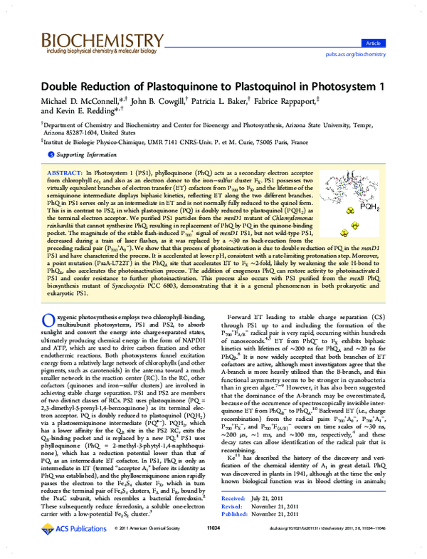 (PDF) Double Reduction of Plastoquinone to Plastoquinol in Photosystem 1