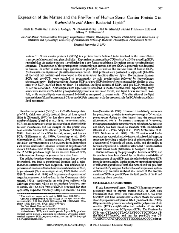 (PDF) Expression of the mature and the pro-form of human sterol carrier ...