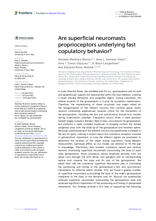 (PDF) Are superficial neuromasts proprioceptors underlying fast ...