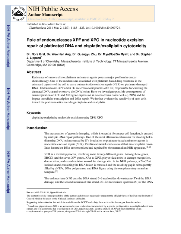 (PDF) Role of Endonucleases XPF and XPG in Nucleotide Excision Repair ...