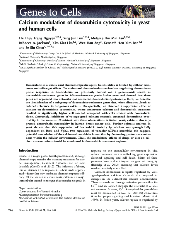 (PDF) Calcium modulation of doxorubicin cytotoxicity in yeast and human ...
