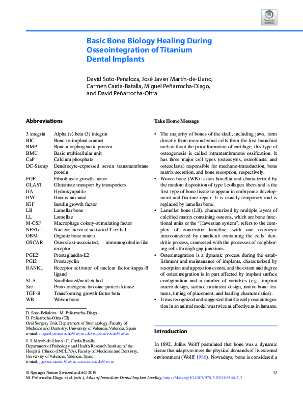 (PDF) Basic Bone Biology Healing During Osseointegration of Titanium ...