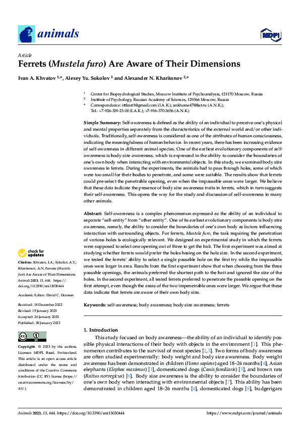(PDF) Ferrets (Mustela furo) Are Aware of Their Dimensions