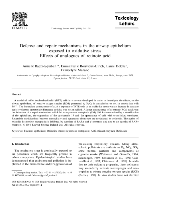 (PDF) Defense and repair mechanisms in the airway epithelium exposed to ...