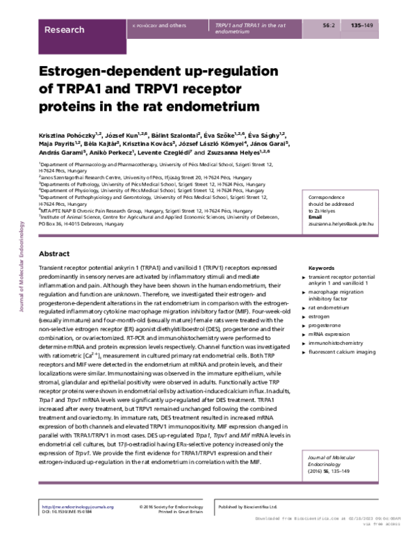 (PDF) Estrogen-dependent up-regulation of TRPA1 and TRPV1 receptor ...